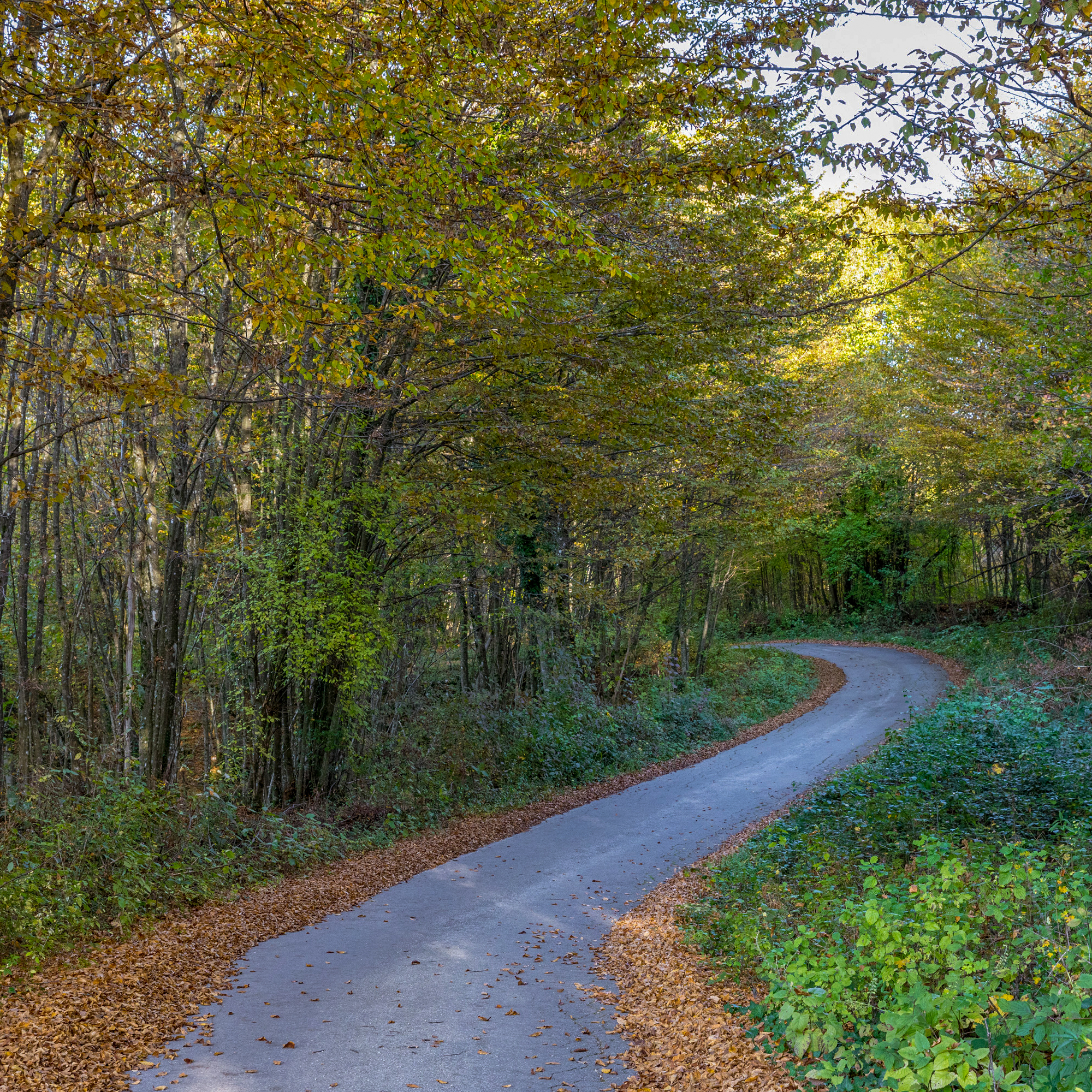 Highlight 4 along the Bikemap route "Karlovac County - R27"