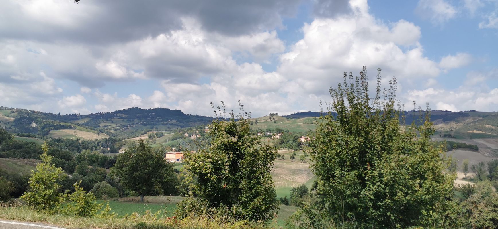 viano