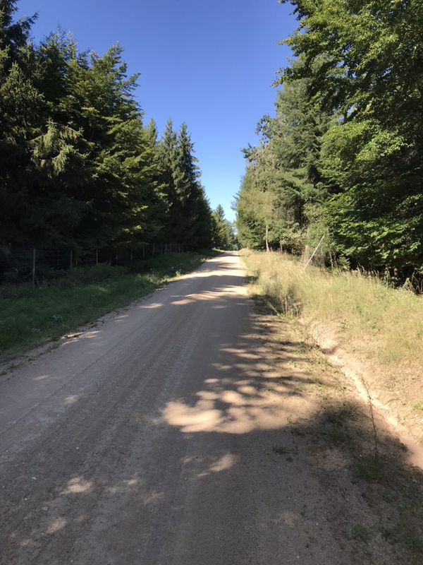 Einfache Fahrt in Donaustauf