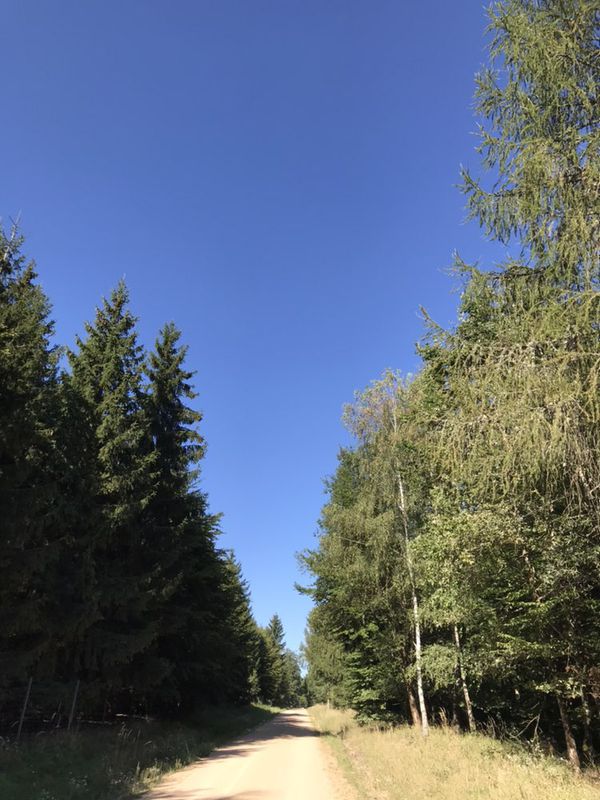 Einfache Fahrt in Donaustauf
