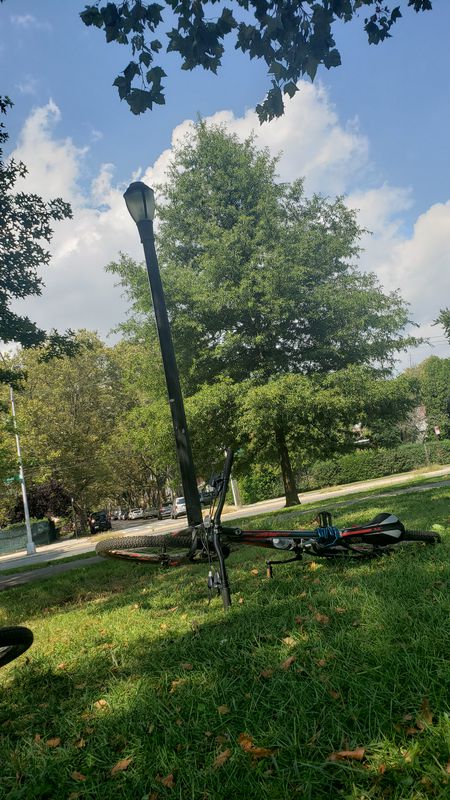 cross island 2019 [ Chile]