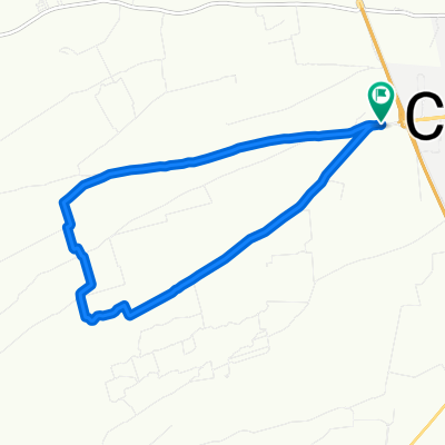 ruta carritos