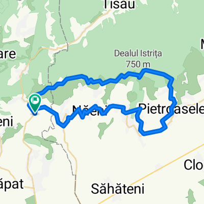 Jugureni - Pietroasele