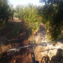 Passeggiata Domenicale