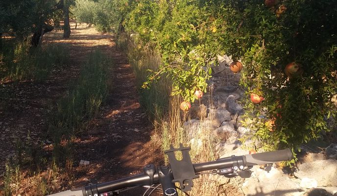 Foto 1 der Bikemap-Route "Passeggiata Domenicale"