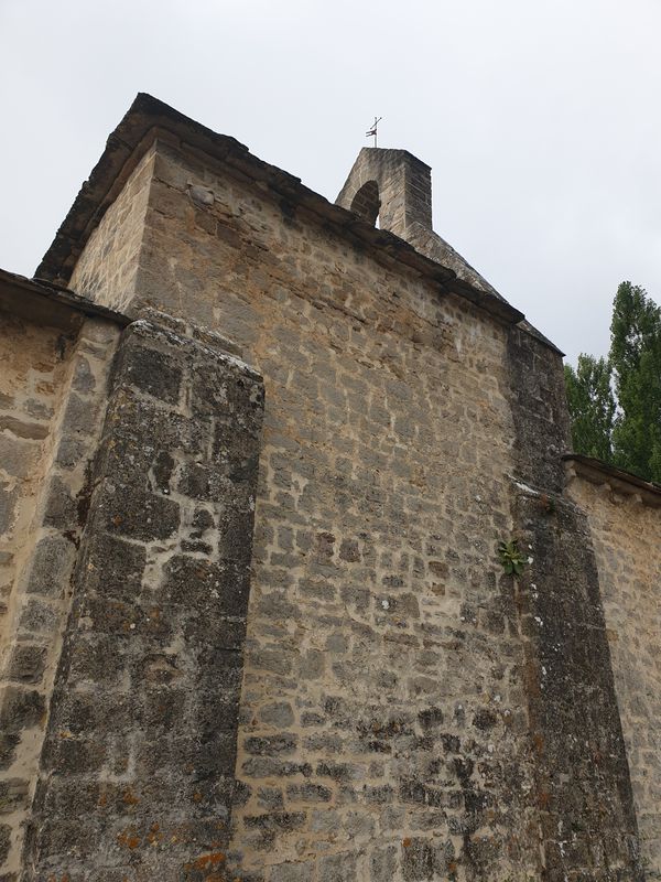 lette olza