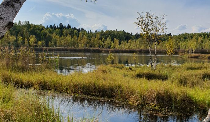 Foto 1 del percorso Bikemap "Бельское"