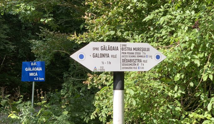 Foto 1 der Bikemap-Route "Isten széke - galagonyai út"