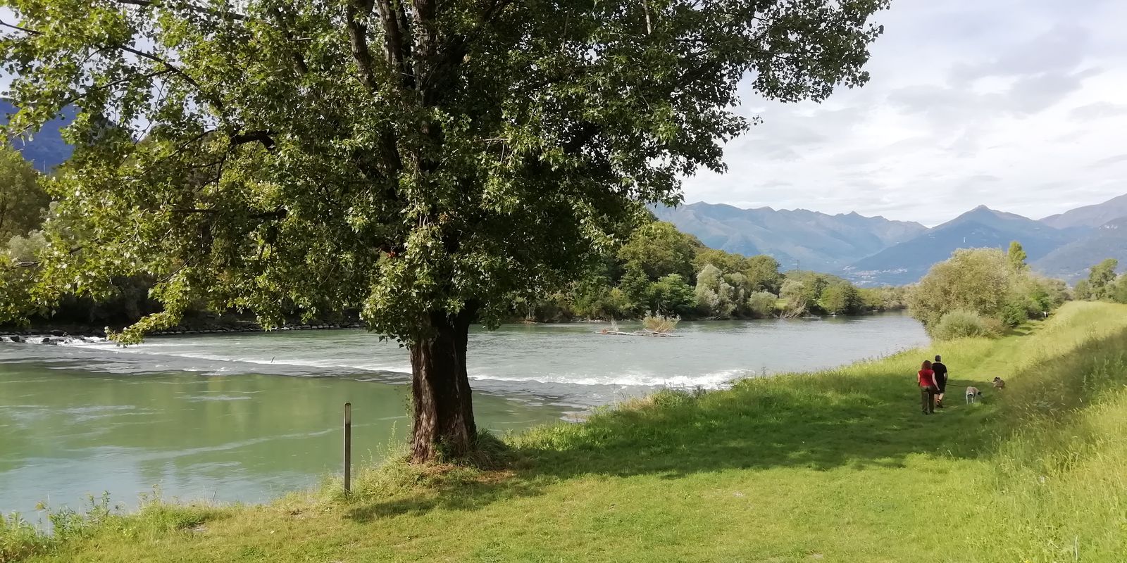 Sorico Morbegno su sentiero Valtellina