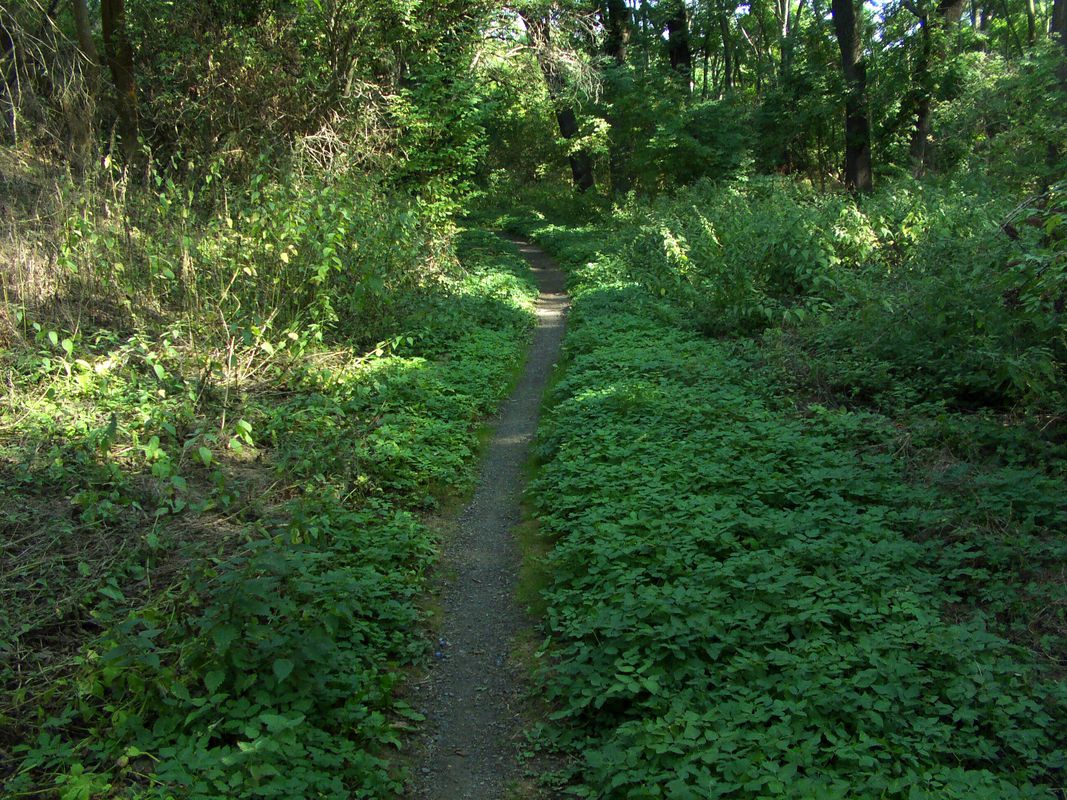 Aschersleben-Güsten-Staßfurt