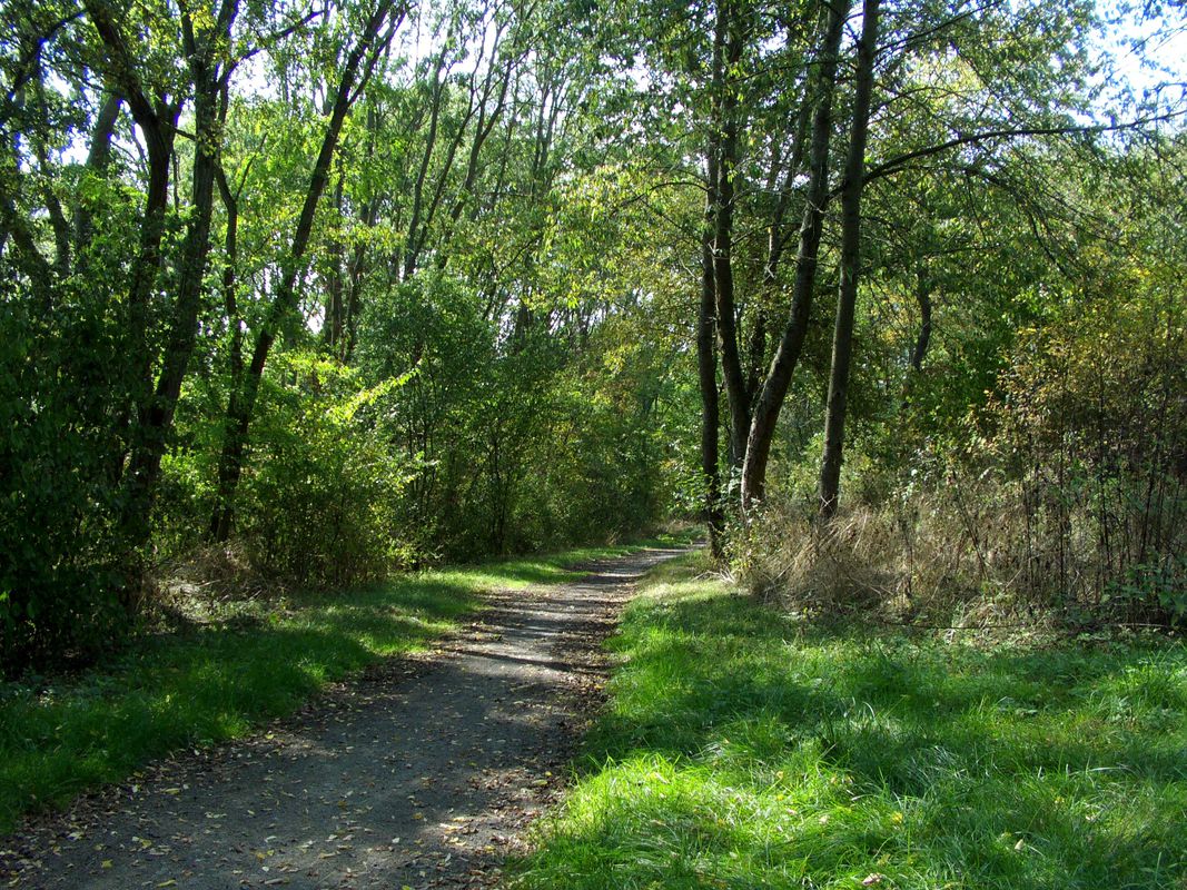 Aschersleben-Güsten-Staßfurt