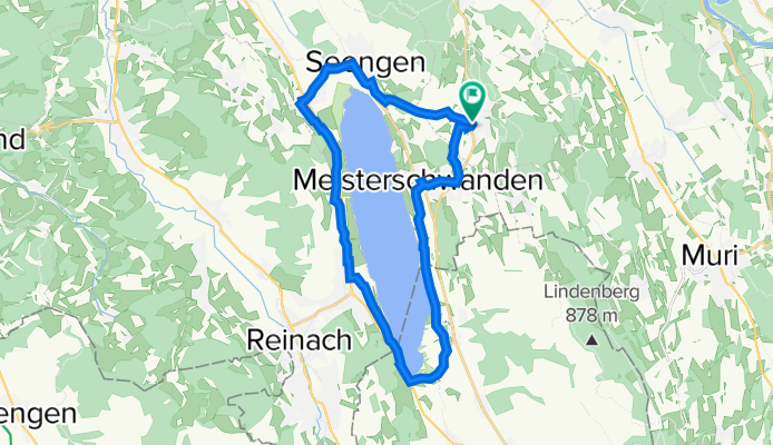 Um den Hallwilersee