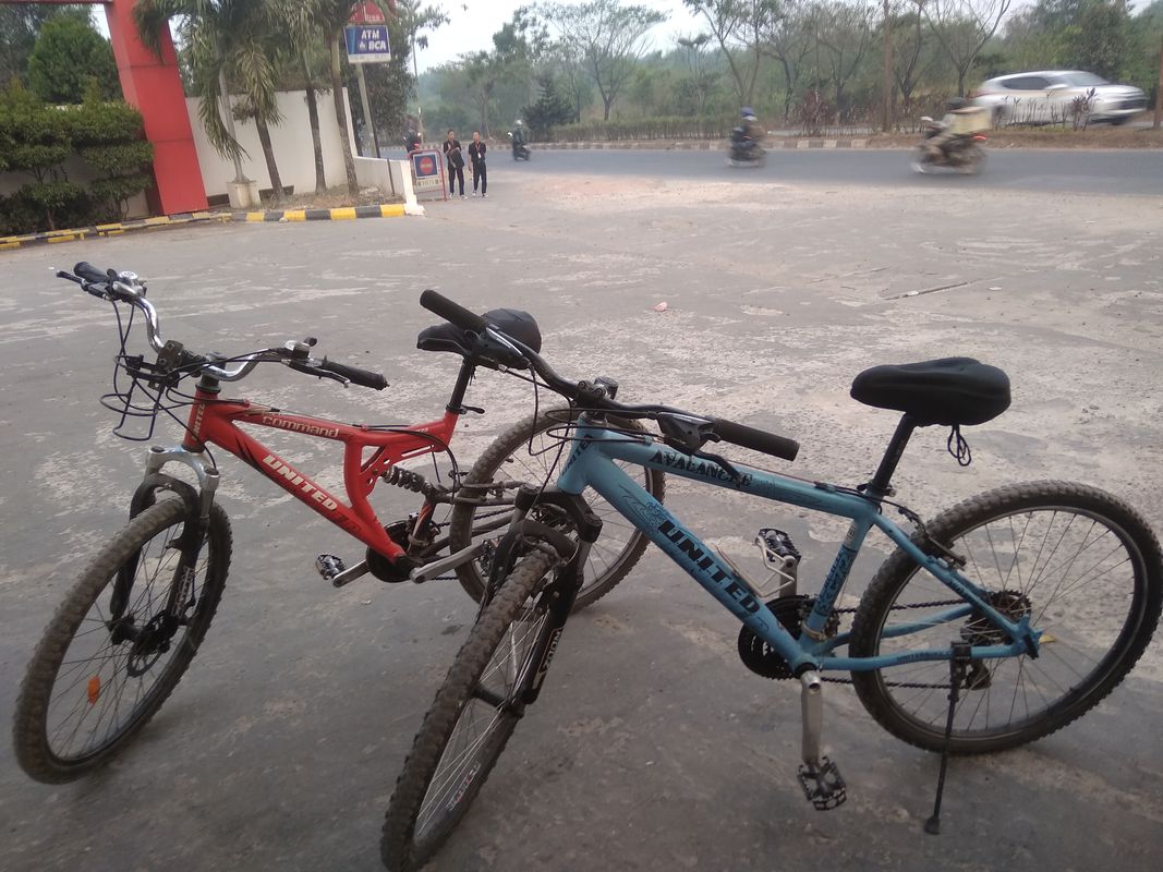 gowes sore
