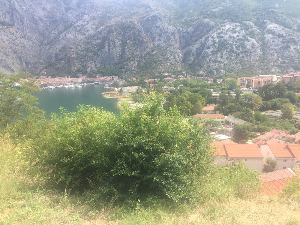 Mediterranean Bike Tour in Kotor