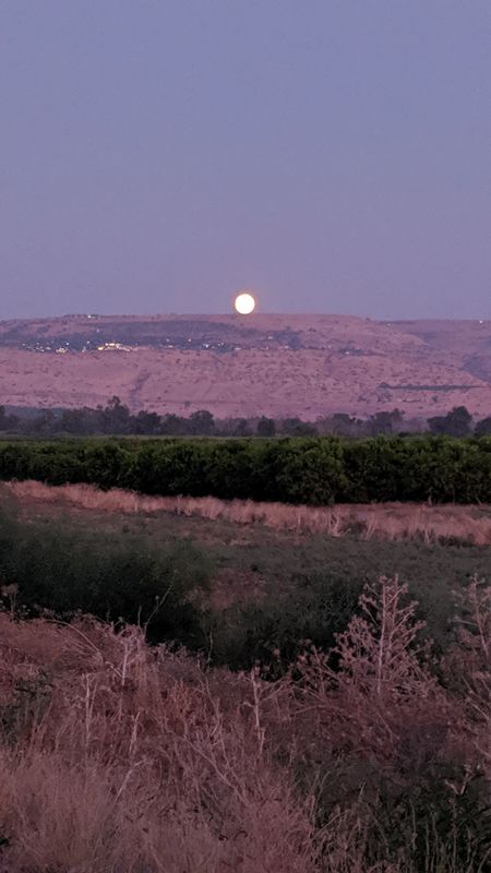 סיבוב בטיחה