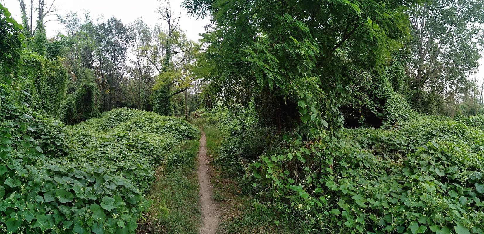 Treviglio - Sergnano _ anello 47 km