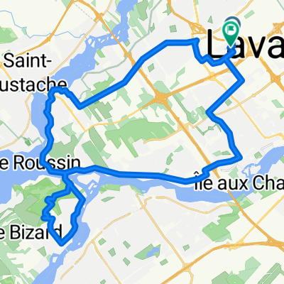 great il Bizard