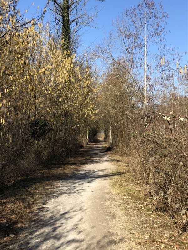 Sportliche Route in Sarnen-Alpnach