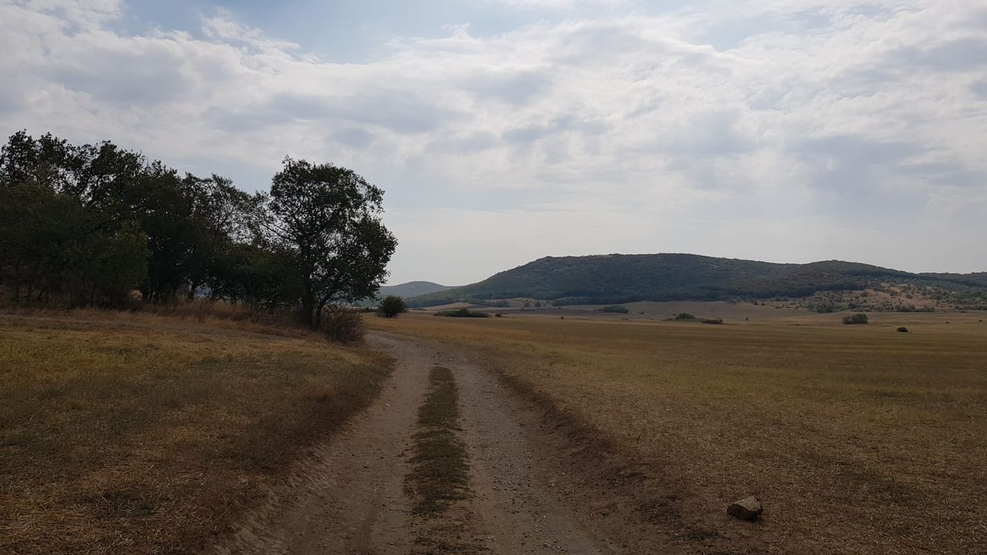 Nifon - Greci - Nifon (Muntii Macin)