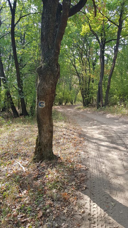 Nifon - Greci - Nifon (Muntii Macin)