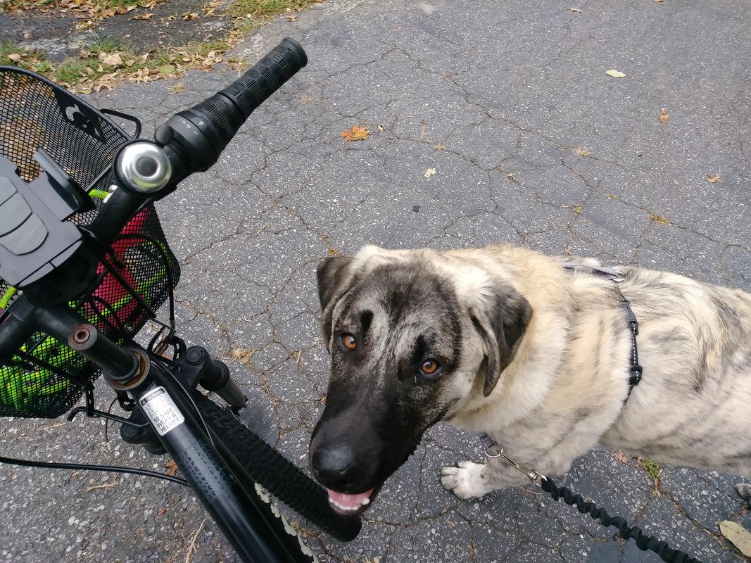 Rey Bike-Run 9/18/19