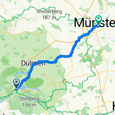Münster 1