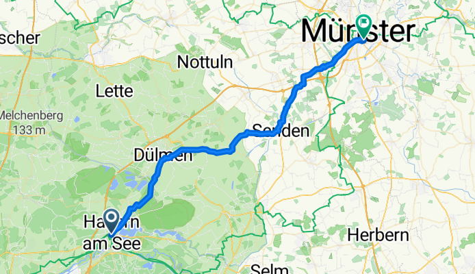 Münster 1