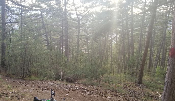 Zdjęcie 1 trasy Bikemap „monte pettino”