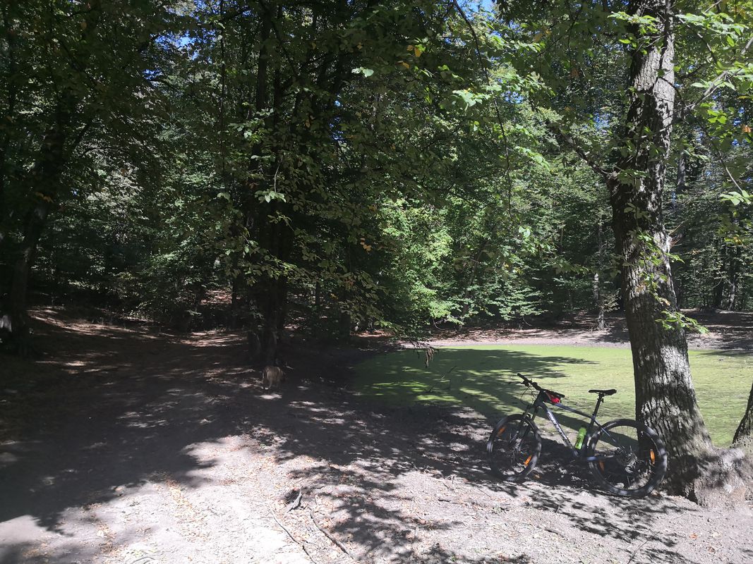 Hill climb workout