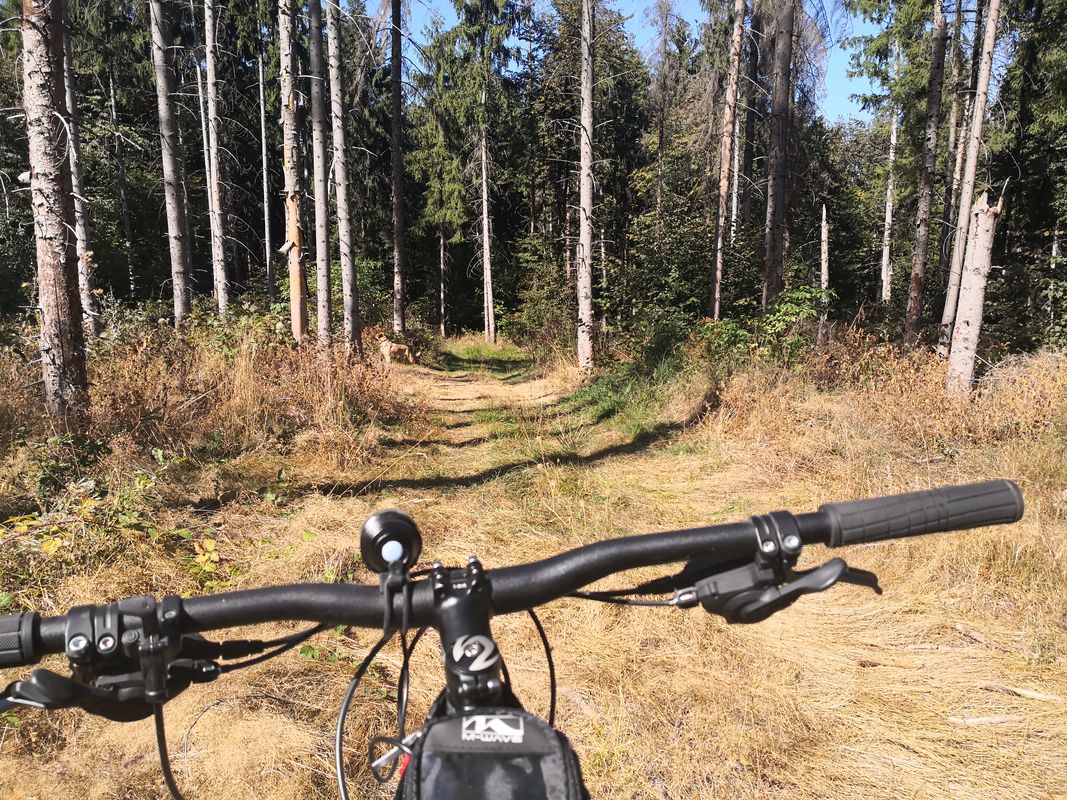 Hill climb workout
