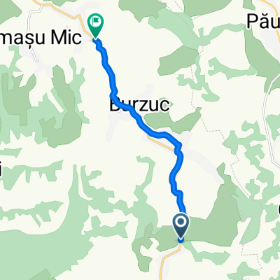 ruta de obicei