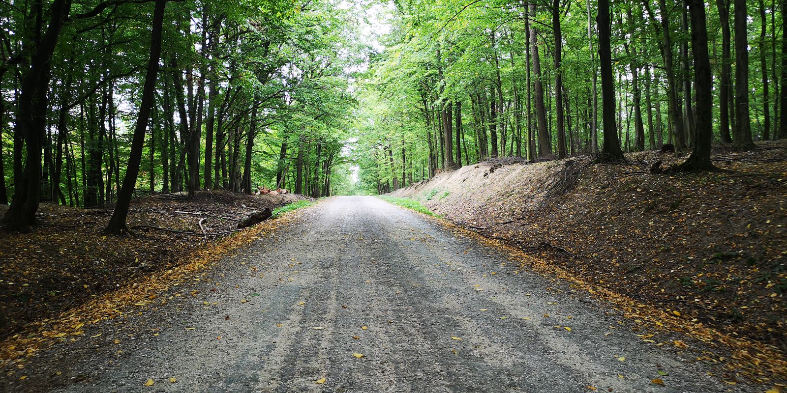 TO - MTB TRIBEC - CHRABRANY - TO