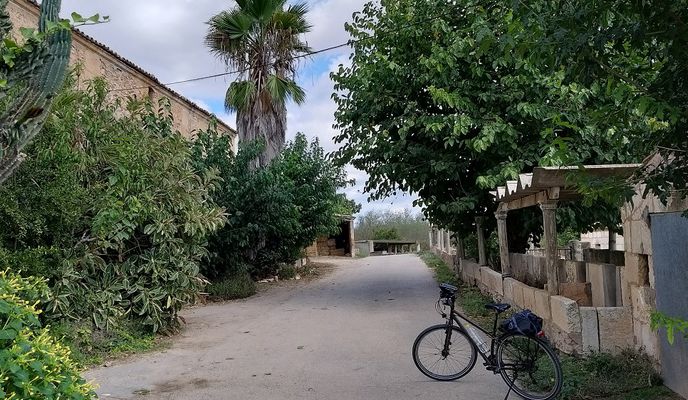 Foto 2 der Bikemap-Route "Mallorca: Manacor-Petra-Manacor"
