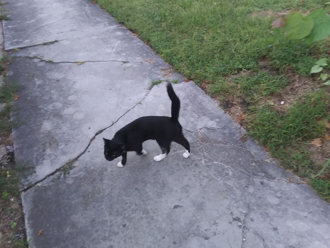 Ride n Bowl Exercise With Jason Agee