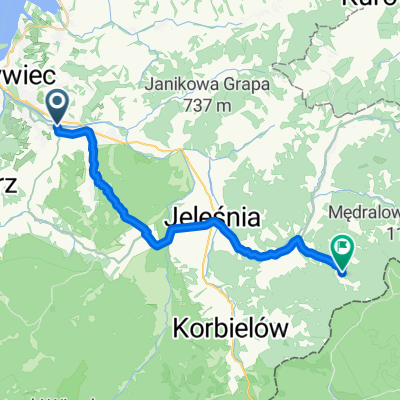 Głuchaczki
