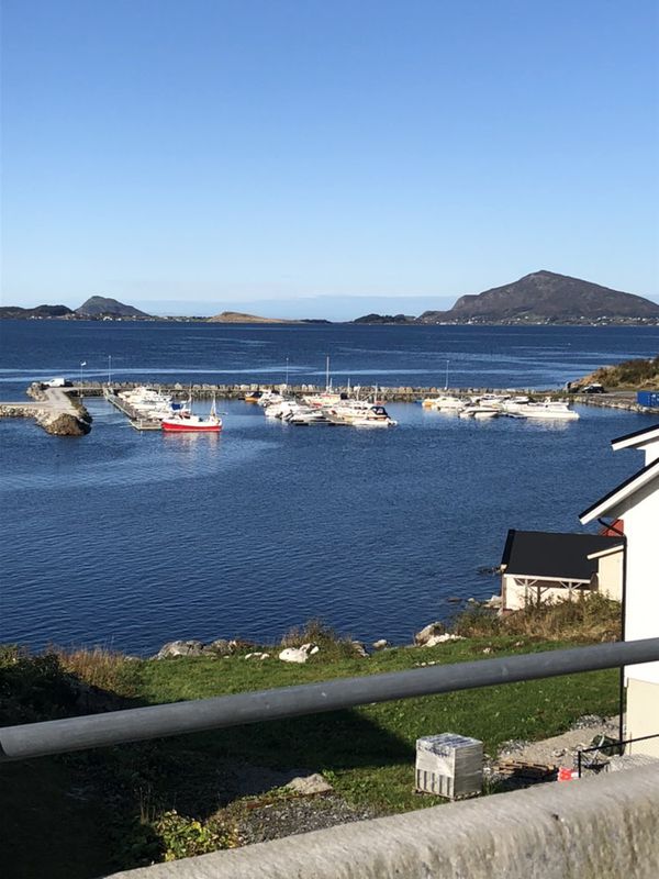 Mauseidvåg