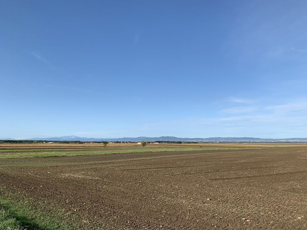 Ausfahrt