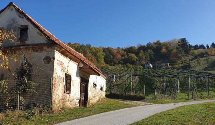Foto 2 der Bikemap-Route "Pischlsdorf Tour 2019"