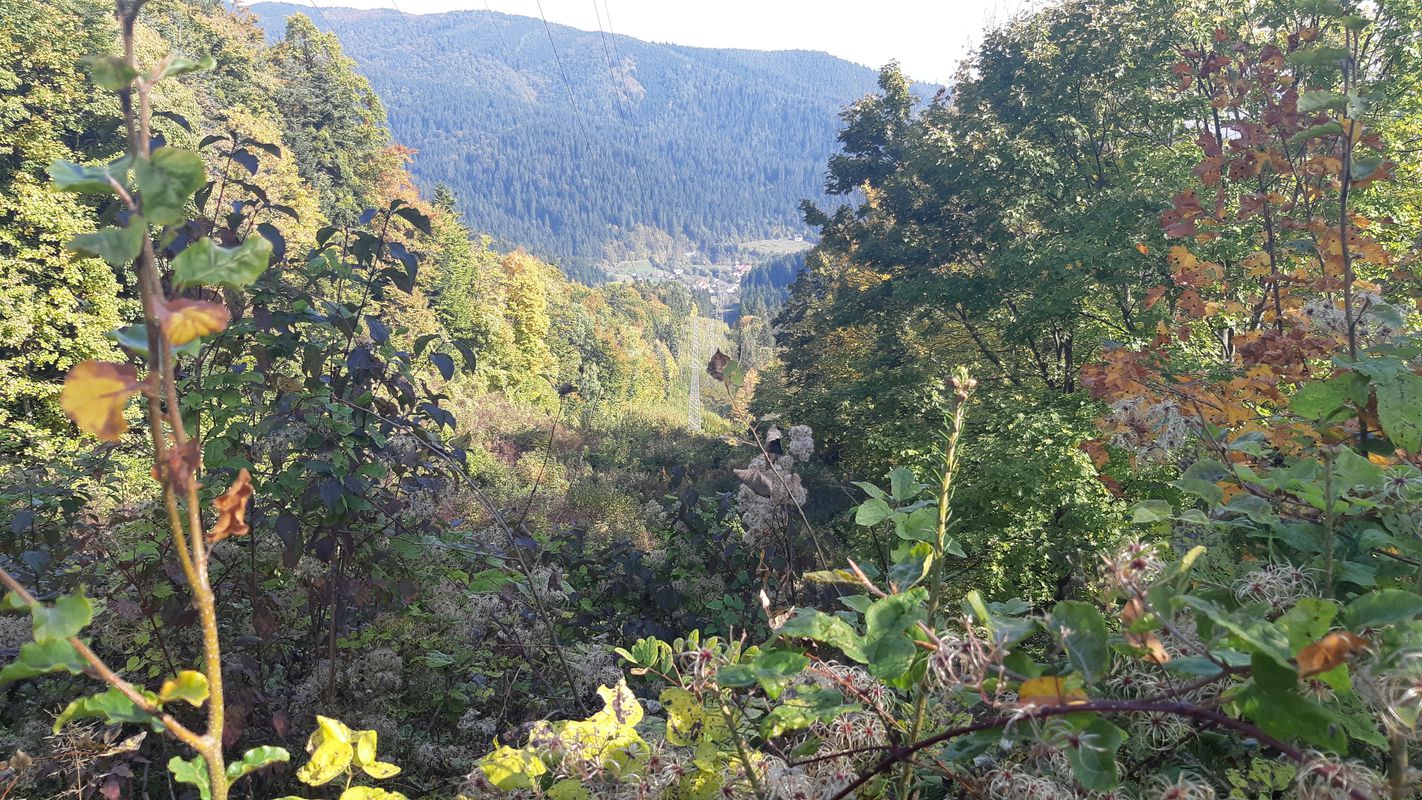 Vf. Prihodiștea route