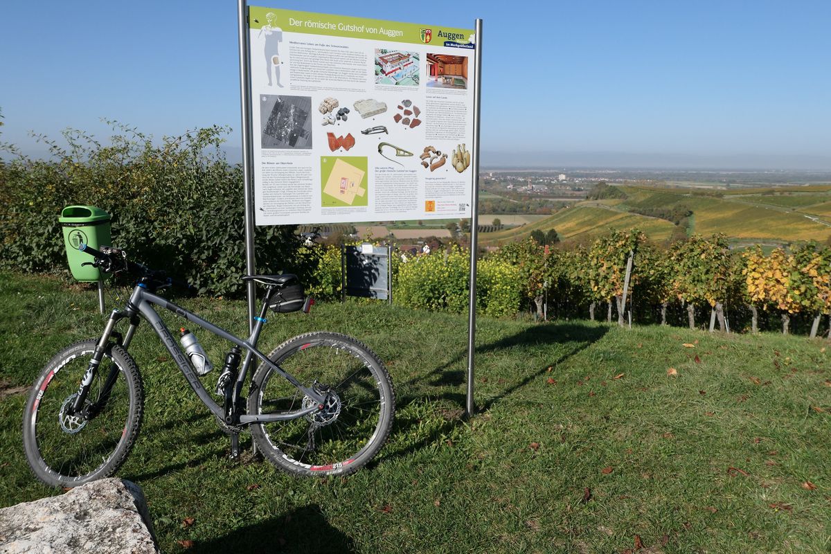 Müllheim - Durch die Weinberge