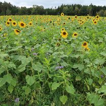 Wörth-Niederviehbach-Gummering-Loiching-Bergham-Teisbach-Oberteisbach-Maßendorf-Weigendorf-Süßbach-Schlott-Gummering-Wörth