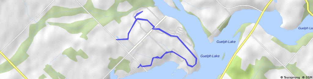 Guelph 10k run