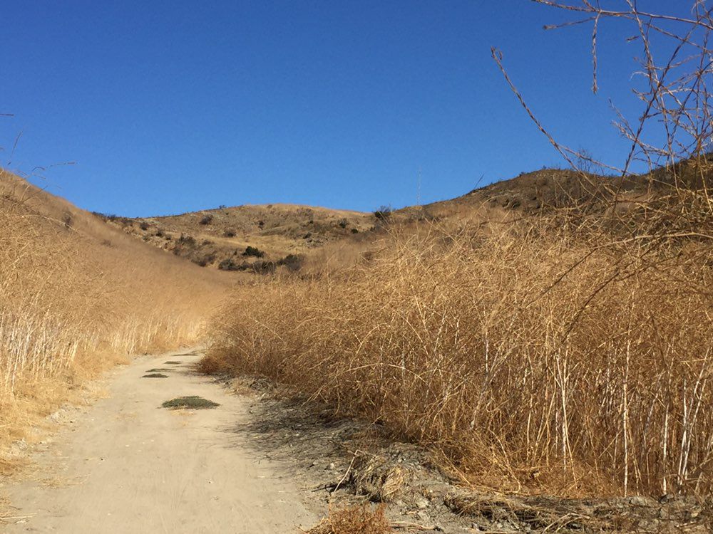 open space 10-6-19
