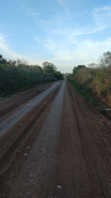 día 4