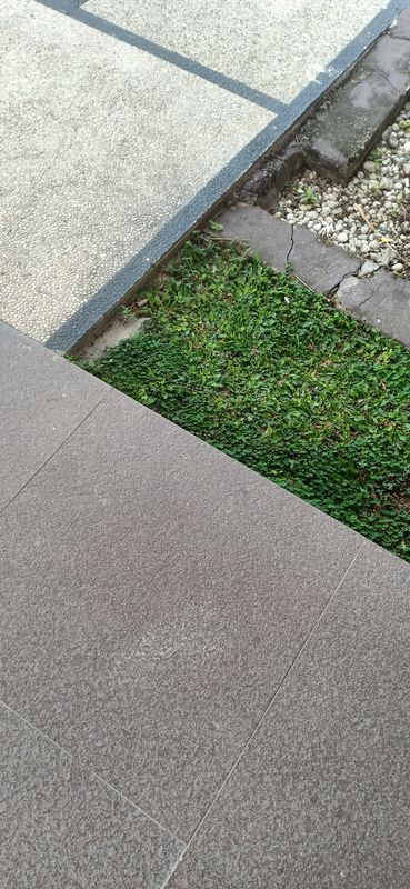 jl. trans Kalimantan