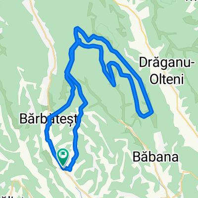 Test Pitesti Rachitele de Sus