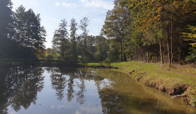 Foto 1 der Bikemap-Route "Oberreichenbach Restaurant mit kurzem Stop im Wald"
