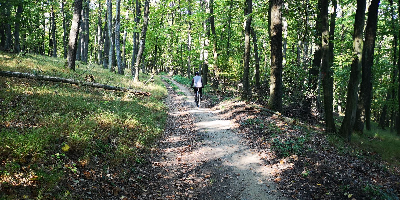 TO-V. Ripnany-Havran-Marhat-N. Blatnica-TO