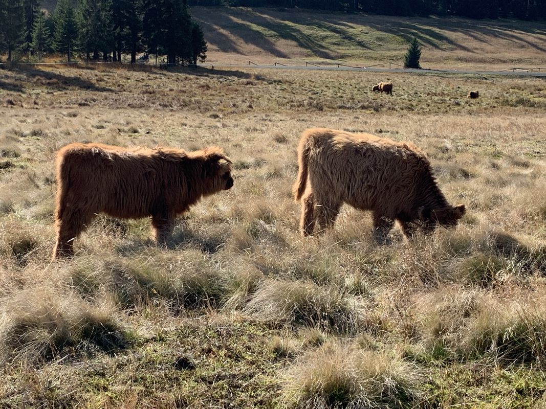 Rote Grube