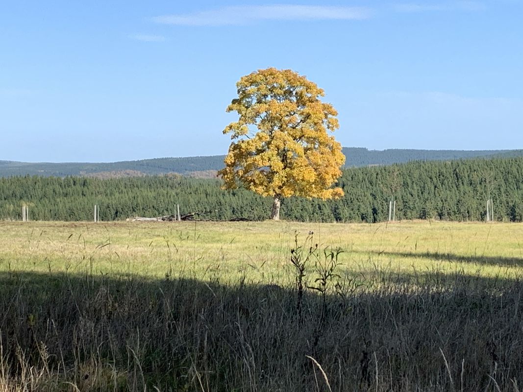 Rote Grube
